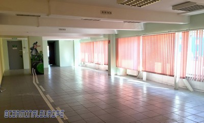 Офисное помещение площадью 250 кв.м.